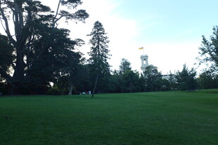 绿意盎然的户外草坪场景