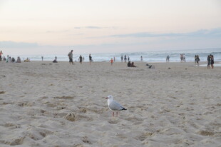 黄昏下的热闹沙滩