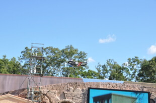 户外场景中的蓝色车辆