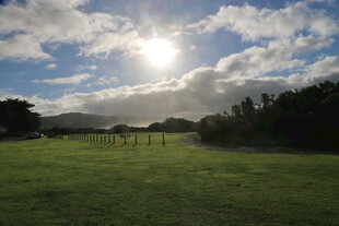 阳光照耀下的绿野风光