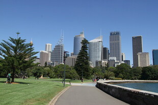 悉尼城市公园与天际线