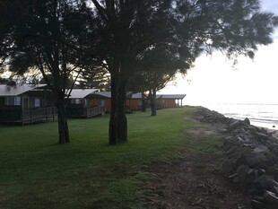 湖畔绿树成荫的宁静景致