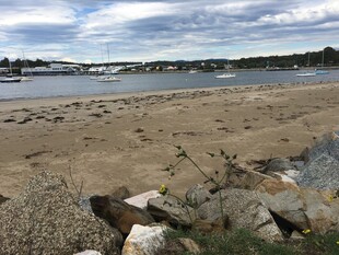 宁静海滩与岸边散落石块