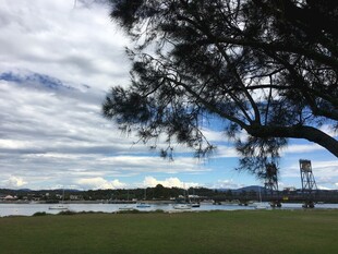 湖畔风景 树影与蓝天交织
