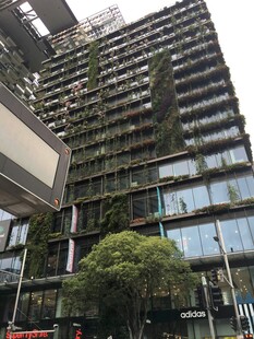 现代绿植覆盖的高楼大厦