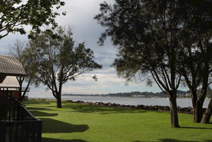 湖畔绿树环绕的惬意景致