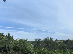 蓝天绿树自然风光图