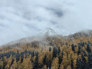 云雾缭绕的山林秋景