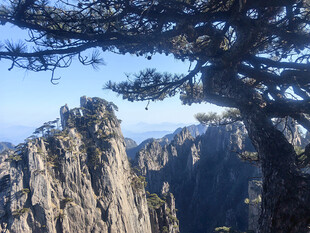 黄山奇峰与苍松景观