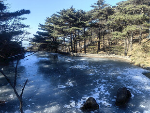 黄山冬日林间结冰的清澈溪流