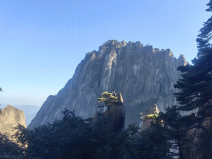 黄山巍峨山峰与葱郁林木景观