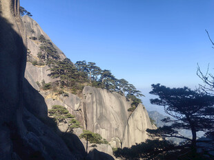 黄山巍峨山峰与峭壁上的树木