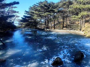 冬日林间清澈溪流美景