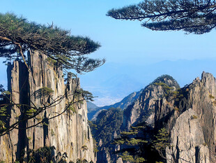 黄山奇峰与苍松景观