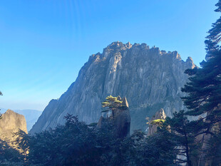 巍峨山峰与葱郁林木景观