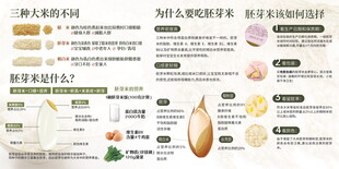 胚芽米 介绍 海报