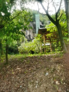 林间静谧庭院景观