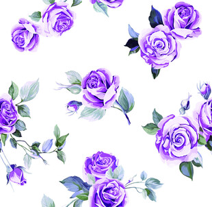 紫色玫瑰水彩花卉图案