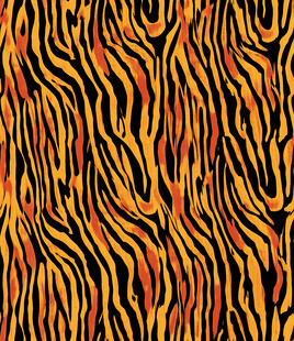 绚丽斑马纹图案