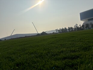 阳光下的翠绿草地与建筑