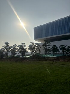 阳光下的现代建筑与绿地