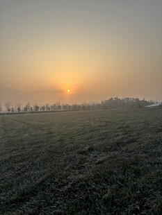 田野上的绝美日出景象