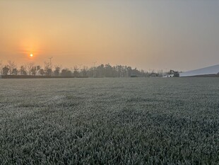 日出下的广袤田野