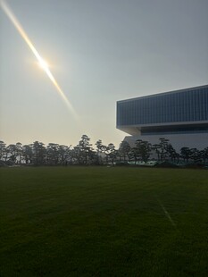 阳光下的开阔草地与建筑