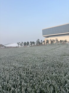 麦田旁的现代建筑景观