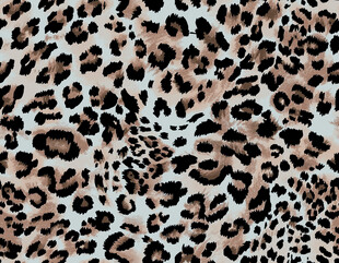 豹纹图案布料纹理