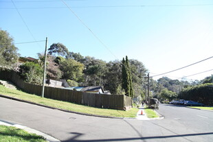 蜿蜒街道旁的绿植景观