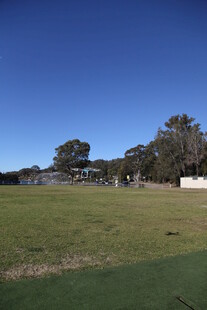 开阔草地与远处树木景观