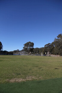 广阔绿草地与远处树木