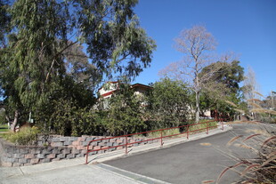 道路旁的绿植与防护设施