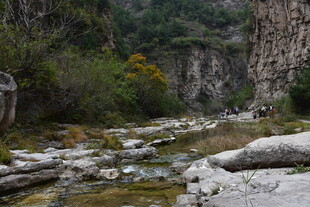山间溪流 自然清幽之景