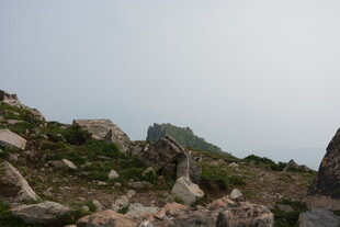 山间嶙峋岩石与葱郁植被
