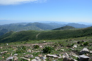 高山绿野风景