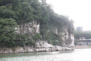 江边峭壁绿植景观