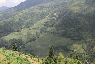 青山绿野间的秀丽山景