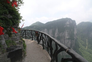 山间栈道旁鲜花与峻岭