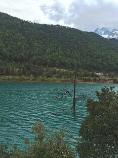 碧绿湖水与青山相映成趣