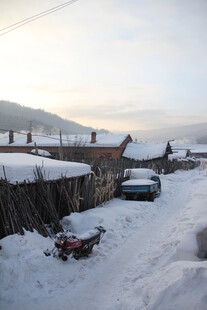 冬日乡村雪景中的静谧场景