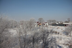 冬日雪覆村庄美景