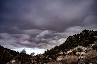 乌云笼罩下的山林景观