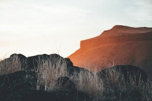 壮丽红岩与枯木景观