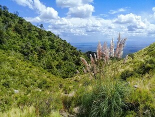 山间绿野与远处碧海蓝天