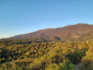 山间葱郁植被与远处山脉