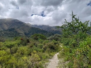 山间小径 绿意盎然的风景