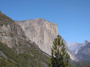 壮丽山景 孤树挺立