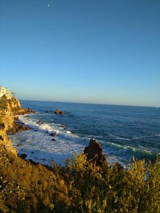 海岸风光 碧海蓝天绿植相伴